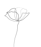 Diseño sin título (4)